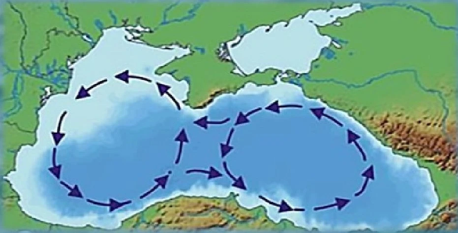 2026-06-05_КСВ_РКН_2.png